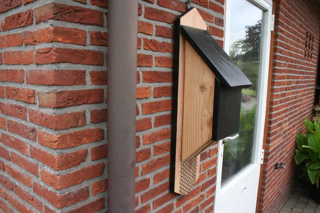Vleermuizenkast, Ophalen of Verzenden, Nieuw