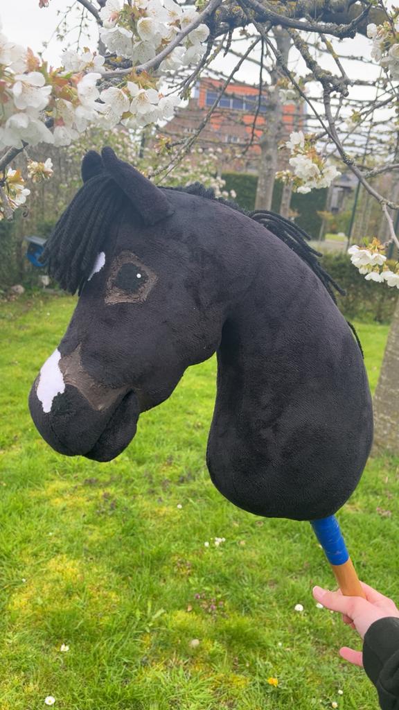 Hobbyhorse, Hobby en Vrije tijd, Overige Hobby en Vrije tijd, Ophalen of Verzenden