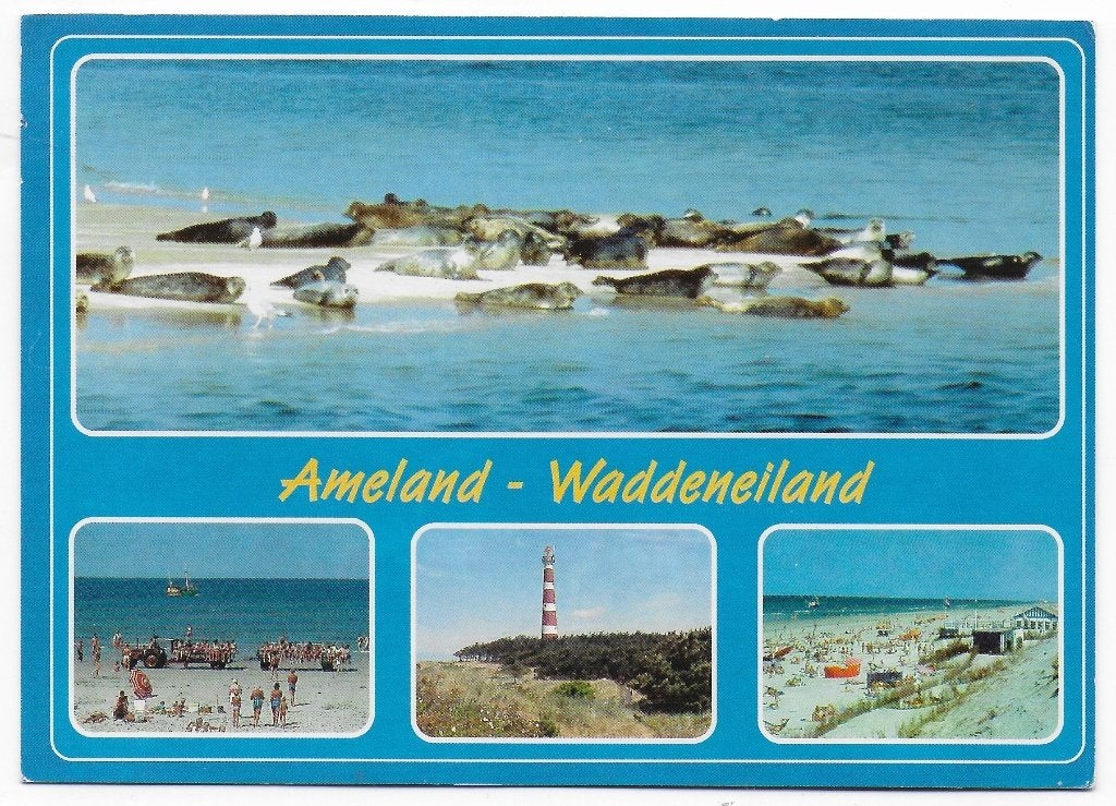 Ameland Waddeneiland gelopen Ansichtkaart ( B2537 ), Ophalen of Verzenden, 1980 tot heden, Gelopen, Waddeneilanden