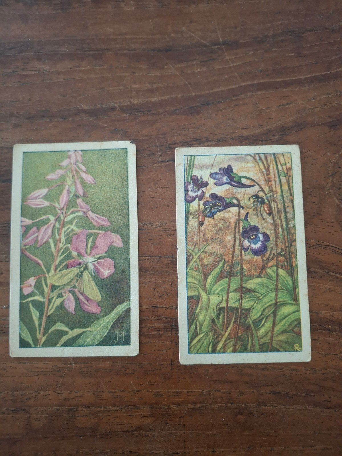 Verkade's Album Plaatjes - De Bloemen en Haar Vrienden, Ophalen of Verzenden, Gebruikt, Meerdere plaatjes