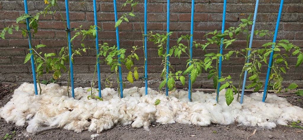 Schapenwol, Ophalen of Verzenden, Overige typen