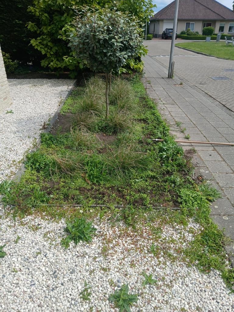 Hovenier/Tuinman, Diensten en Vakmensen, Tuinmannen en Stratenmakers, Garantie, Tuinontwerp