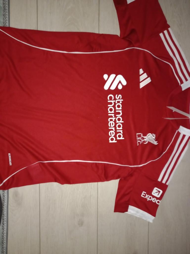 Liverpool T-shirt Maat M, Ophalen of Verzenden, Maat 48/50 (M), Rood, Liverpool