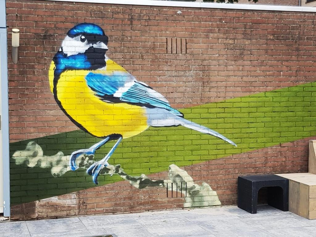 Graffiti, muurschildering, Diensten en Vakmensen