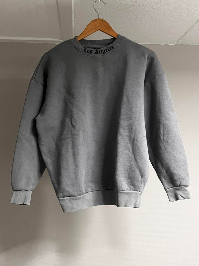 Black Squad trui, Kleding | Heren, Ophalen of Verzenden, Gedragen, Maat 46 (S) of kleiner, Grijs