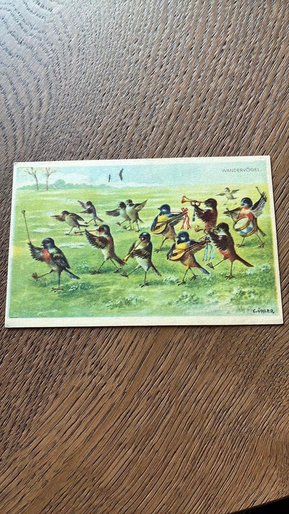Vogels. Orkestleider met orkestgroep, vogels, Verzamelen, Ansichtkaarten | Themakaarten, Ophalen of Verzenden, Ongelopen, Natuur