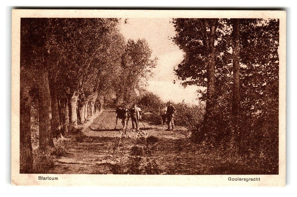 Blaricum, Gooiersgracht, Verzamelen, Ansichtkaarten | Nederland, Ongelopen, Noord-Holland, 1940 tot 1960, Ophalen of Verzenden