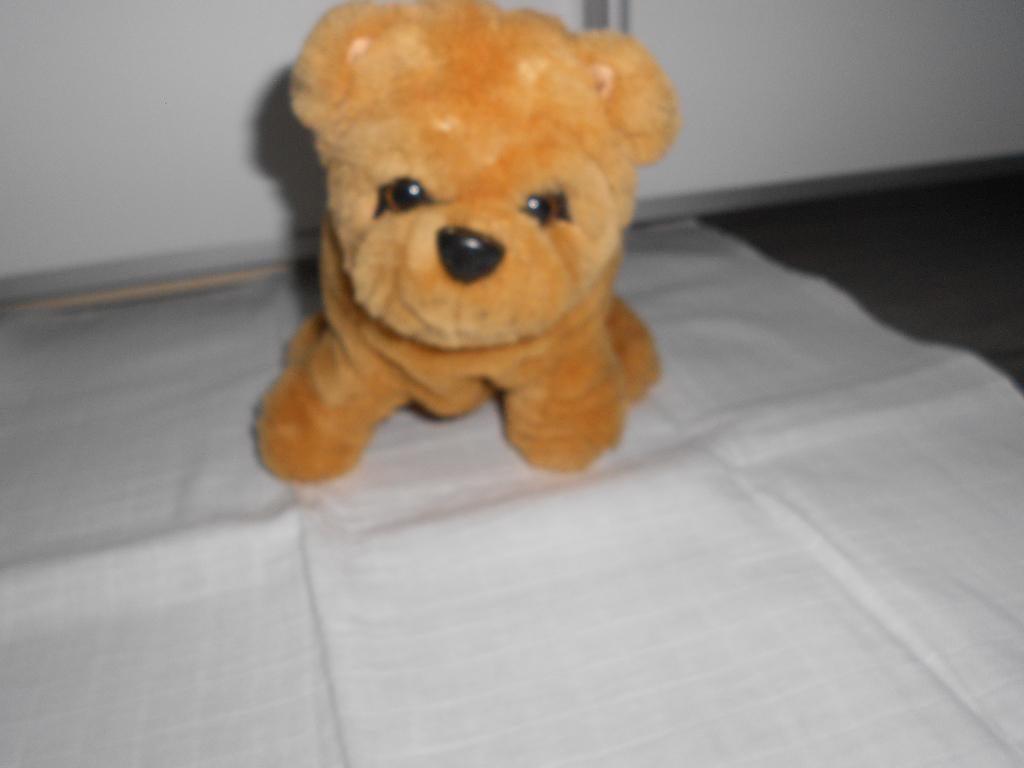 Knuffel Shar-pei hondje, Ophalen of Verzenden, Zo goed als nieuw, Hond