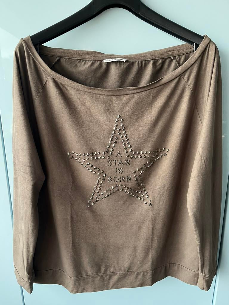 F de la passion trui suède look maat L bruin studs, Maat 38/40 (M), Bruin, Ophalen of Verzenden, Zo goed als nieuw