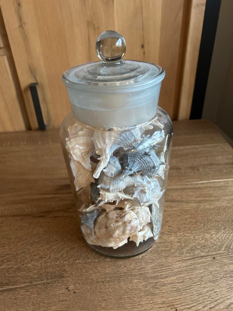 Glazen pot met deksel en schelpen, Ophalen, Schaal, Rond, Glas