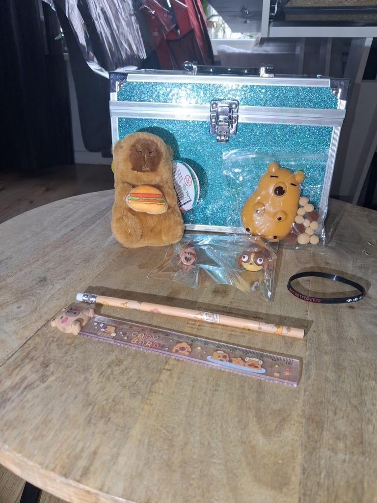 Leuk Kado Pakket met Capybara Thema, Ophalen of Verzenden, Nieuw