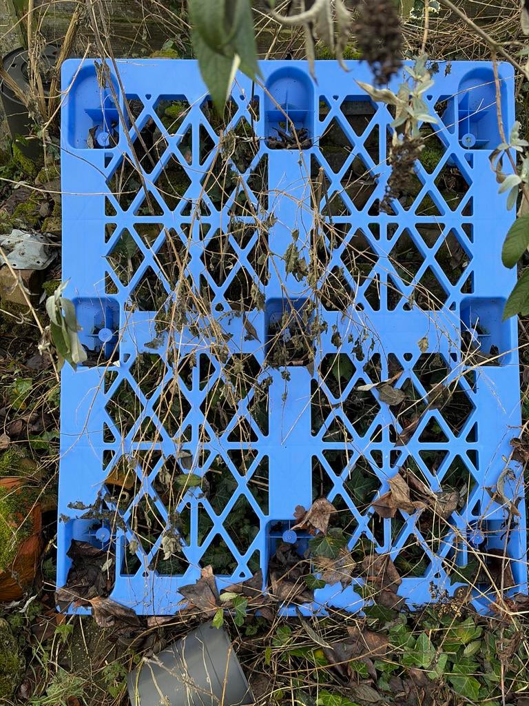 Blauwe kunststof pallet, Ophalen of Verzenden