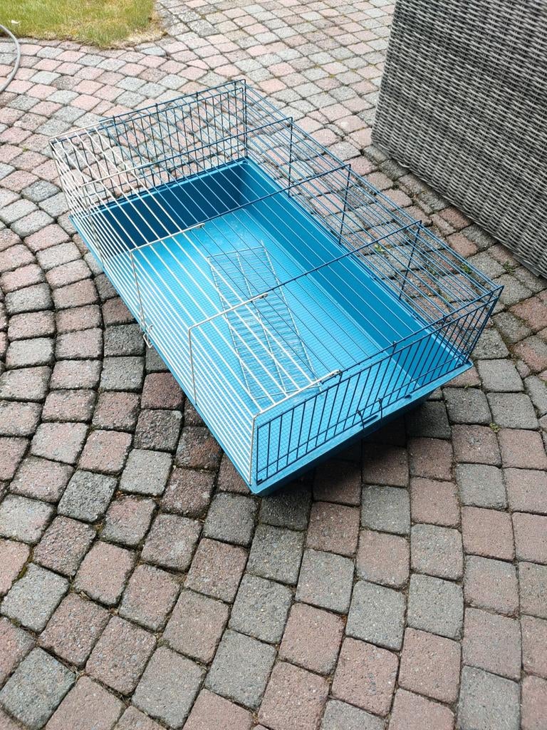 Cavia kooi / hok 93x55cm, Dieren en Toebehoren, Knaagdieren en Konijnen | Hokken en Kooien, Kooi, 75 tot 110 cm, Cavia, Ophalen