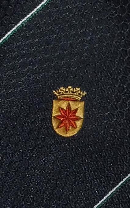 Rotterdam wijk Gemeente Wapen van Kralingen stropdas, Kleding | Heren, Stropdassen, Nieuw, Blauw, Ophalen of Verzenden