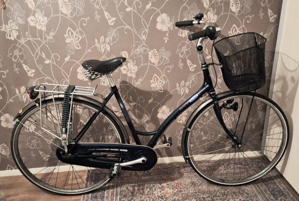 Damesfiets, Terugtraprem, (Extra) lage instap, Ophalen, Overige merken