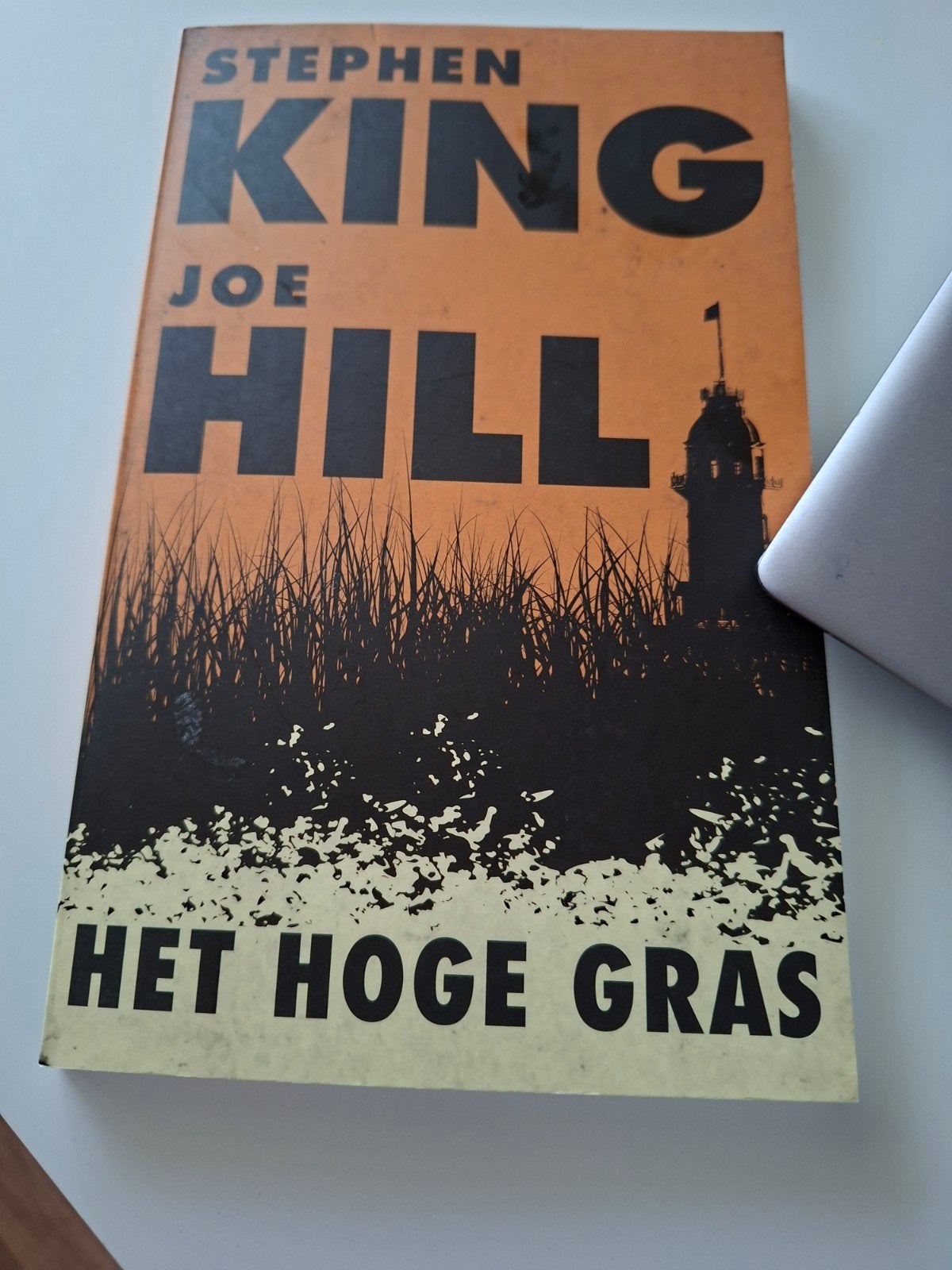 Het Hoge Gras - Stephen King & Joe Hill (Zo goed als nieuw), Boeken, Ophalen of Verzenden, Zo goed als nieuw, Stephen King, Joe Hill