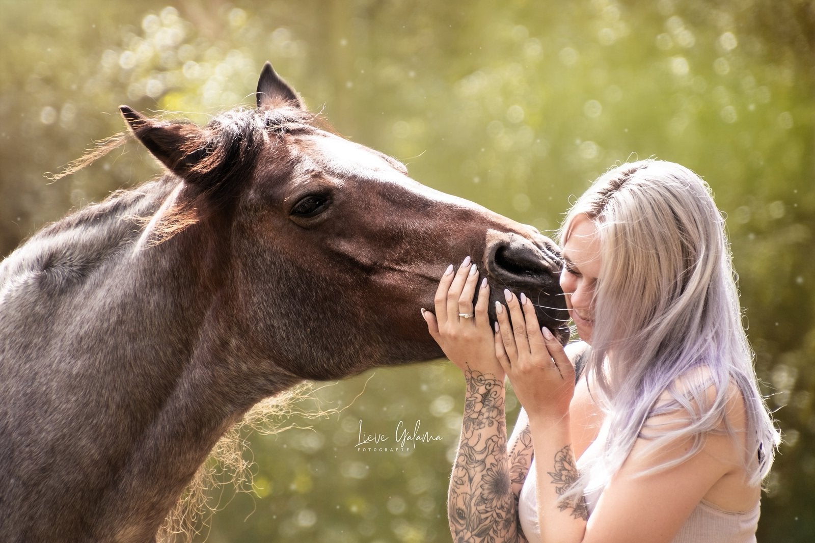 Paardenfotografie By Lieve, Ophalen of Verzenden