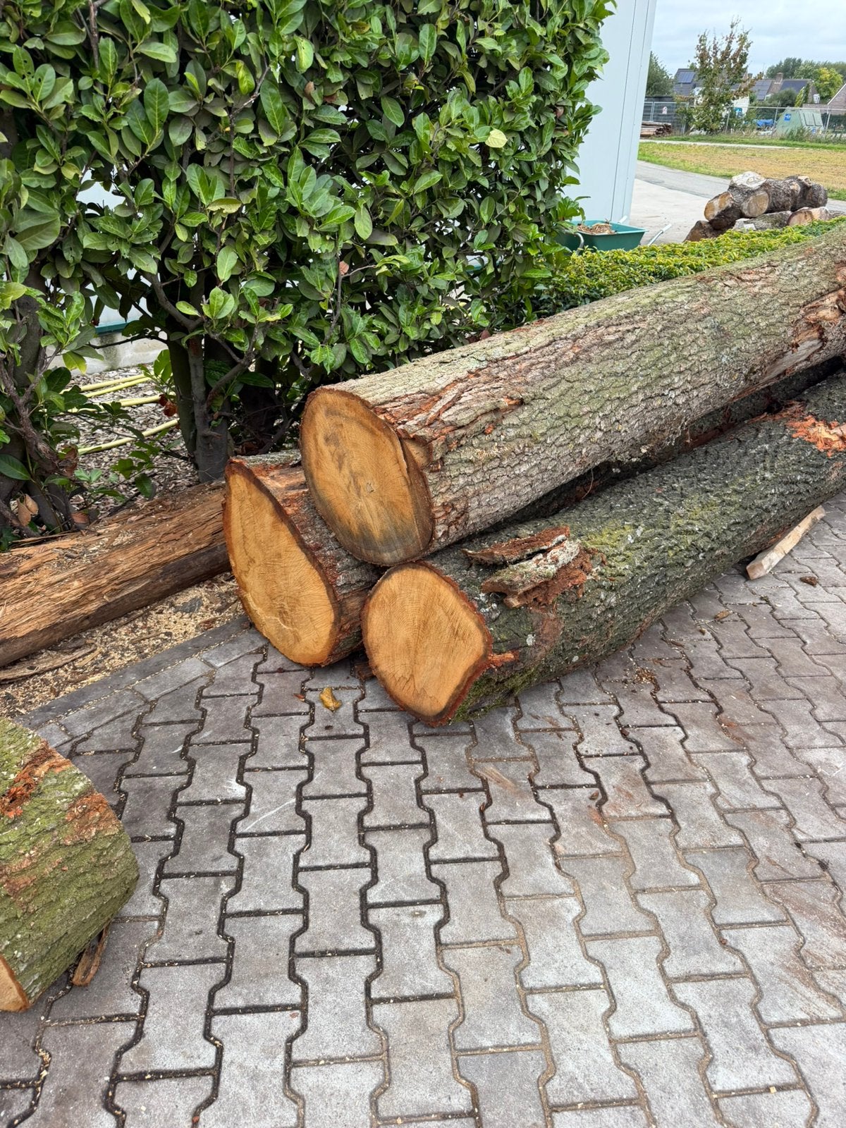 3 inlandse eiken zaaghout 370cm lang, 3 tot 6 m³, Ophalen, Eikenhout, Stammen