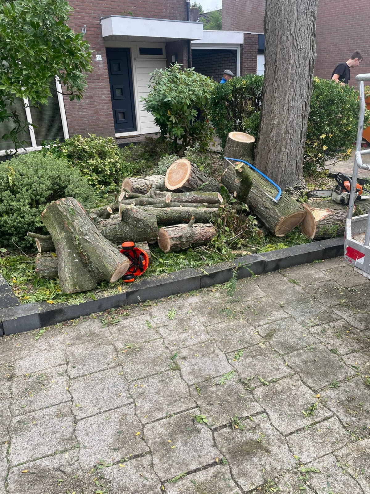 Brand,stook,haardout valse christusdoorn, 3 tot 6 m³, Ophalen, Overige houtsoorten, Blokken