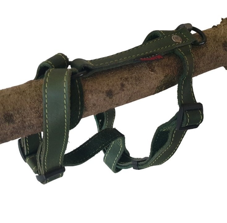 MARTIN SELLIER Nature Harnas Groen Borst 50-70 cm KOOPJE!!!, Ophalen of Verzenden, Nieuw, Hondentuig