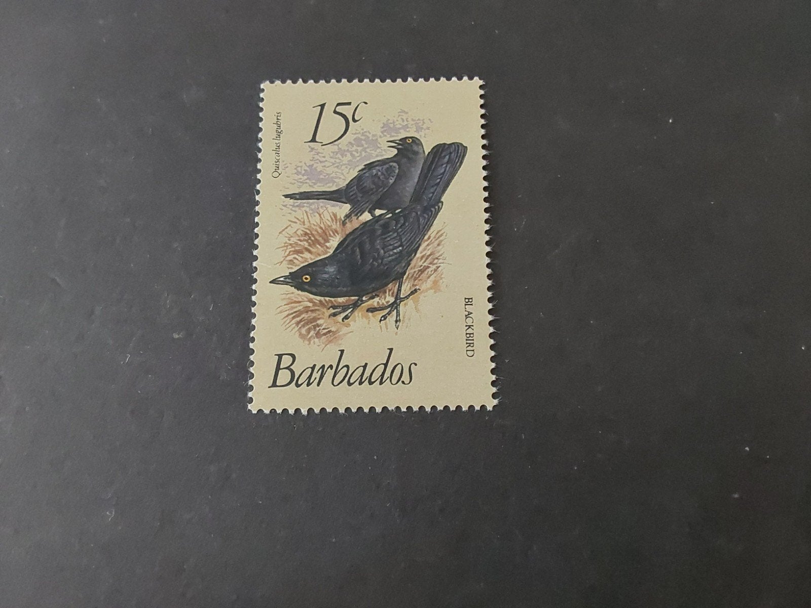 Barbados, SG 627a, Verzenden, Postfris, Noord-Amerika