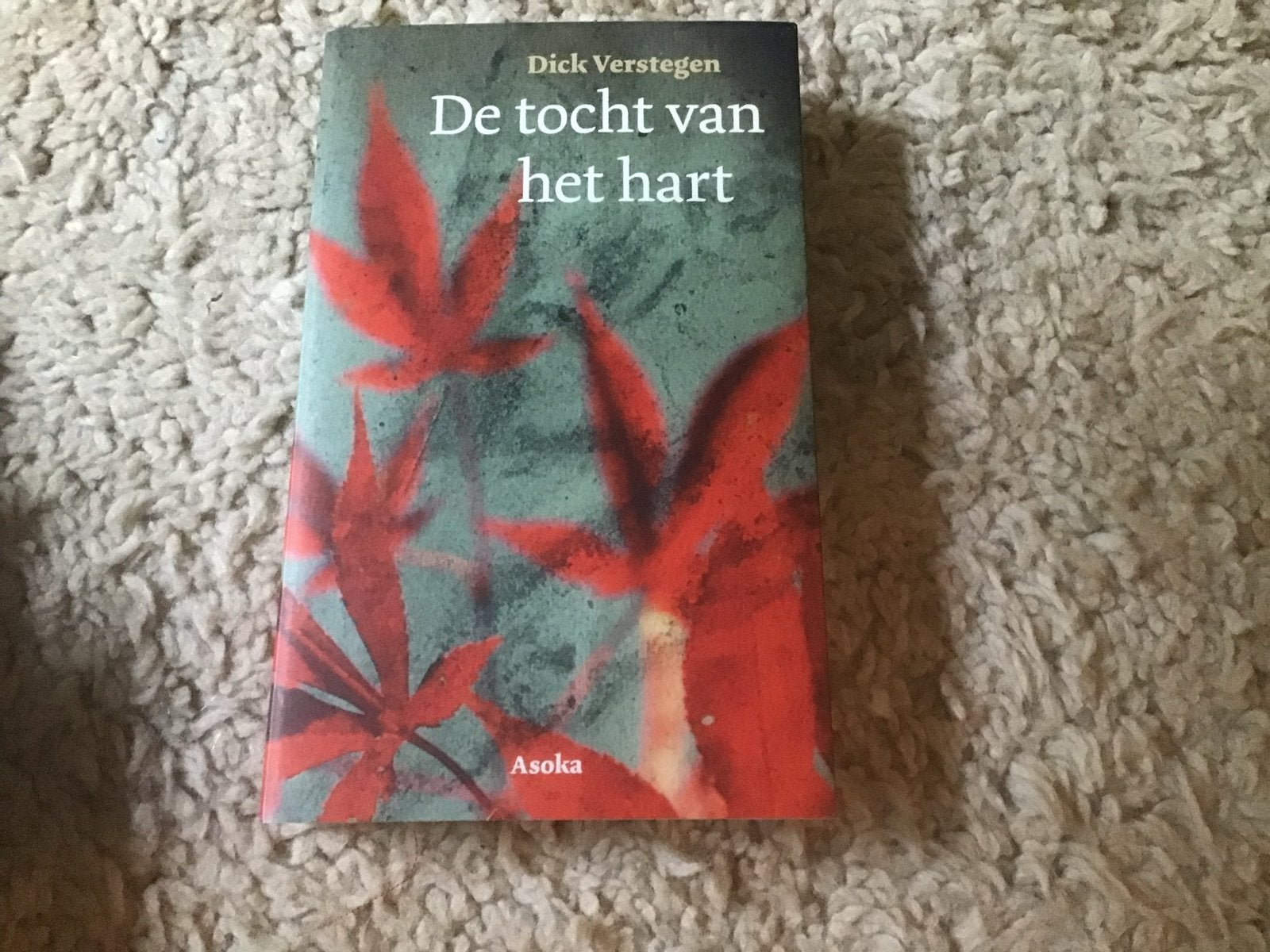 De Tocht van het Hart - Dick Verstegen (Asoka) opbr giro 555, Ophalen of Verzenden, Zo goed als nieuw, Spiritualiteit algemeen