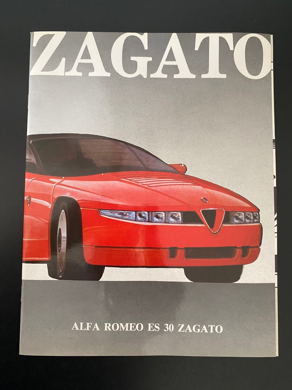 Alfa Romeo ES 30 Zagato Brochure, Ophalen of Verzenden, Zo goed als nieuw, Alfa Romeo