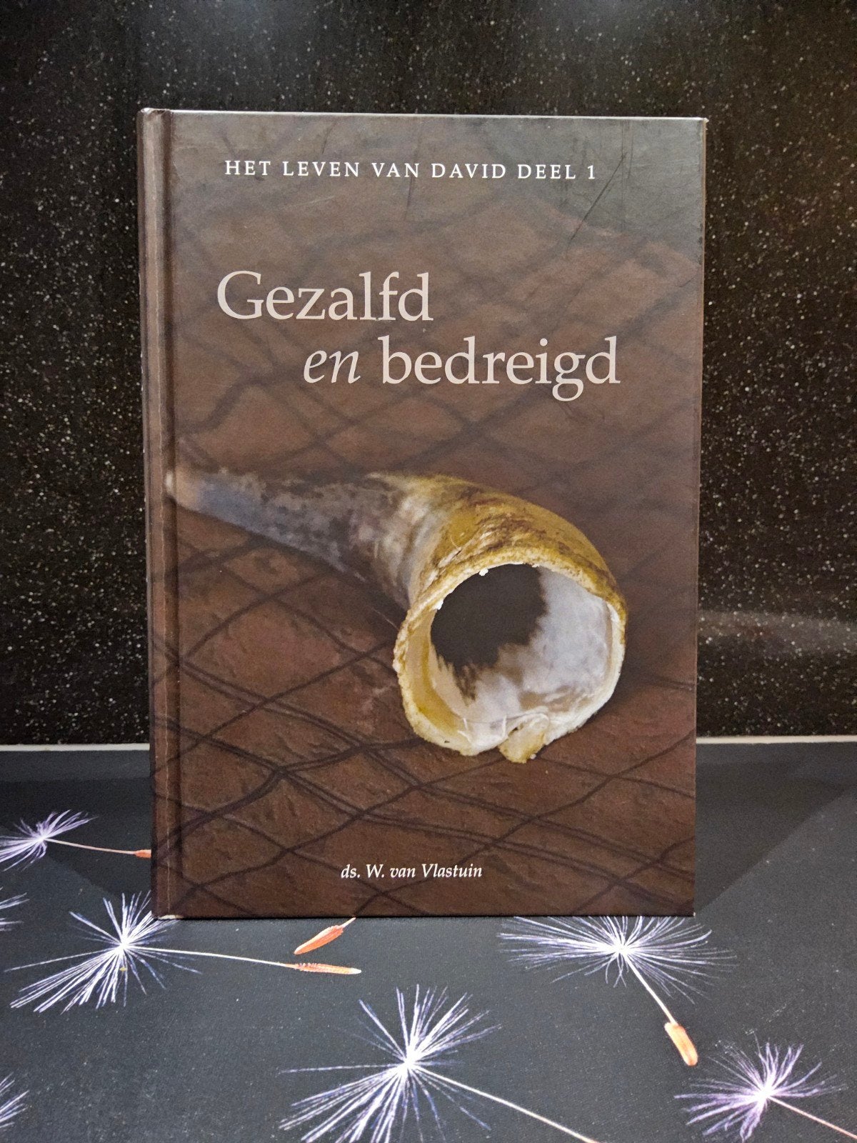 Gezalfd en bedreigd / Ds. W. van Vlastuin, Boeken, Ophalen of Verzenden, Zo goed als nieuw, W. van Vlastuin, Christendom | Protestants