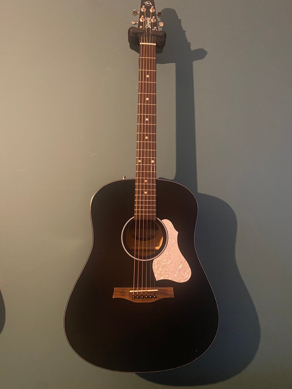Seagull s6 classic black, Muziek en Instrumenten, Snaarinstrumenten | Gitaren | Akoestisch, Ophalen of Verzenden, Zo goed als nieuw