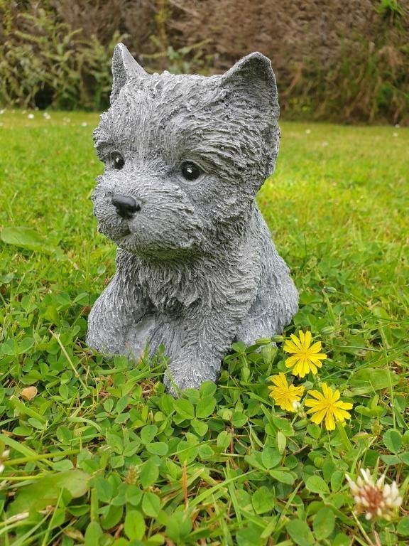 schatig tuinbeeldje van een puppy hondje, Ophalen of Verzenden, Nieuw, Hond of Kat, Opgezet dier