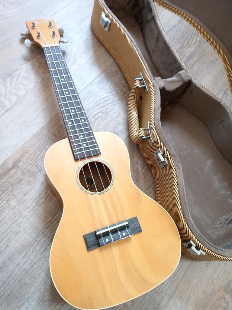 Ukelele in koffer, Muziek en Instrumenten, Behuizingen en Koffers, Ophalen of Verzenden, Zo goed als nieuw, Overige instrumenten