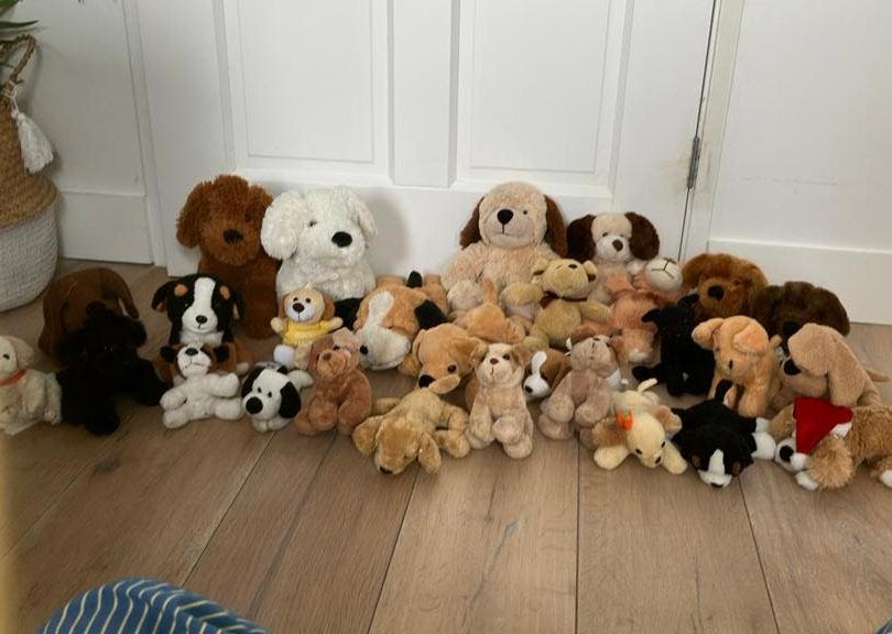 30 Hond honden knuffels, Ophalen of Verzenden, Zo goed als nieuw, Hond