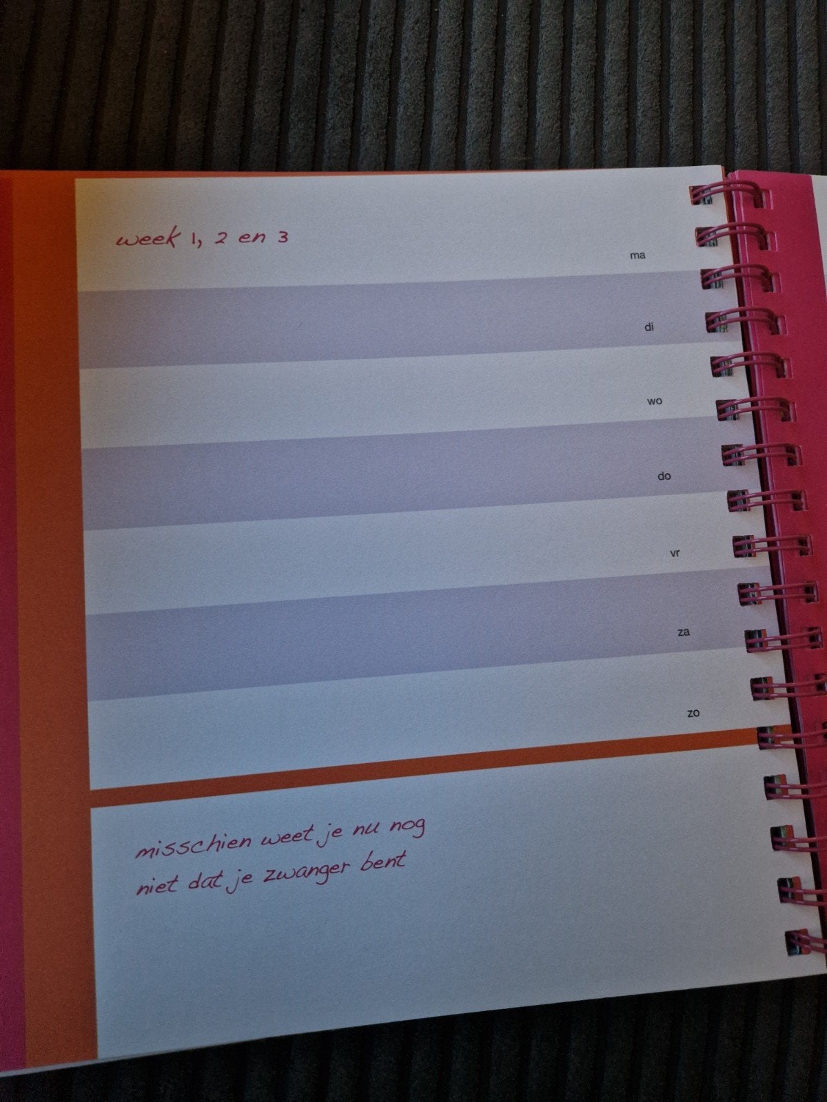 Gezond & Energiek Zwanger - Zwangerschapsdagboek, Ophalen of Verzenden, Zo goed als nieuw, Zwangerschap en Bevalling, Esther van Diepen