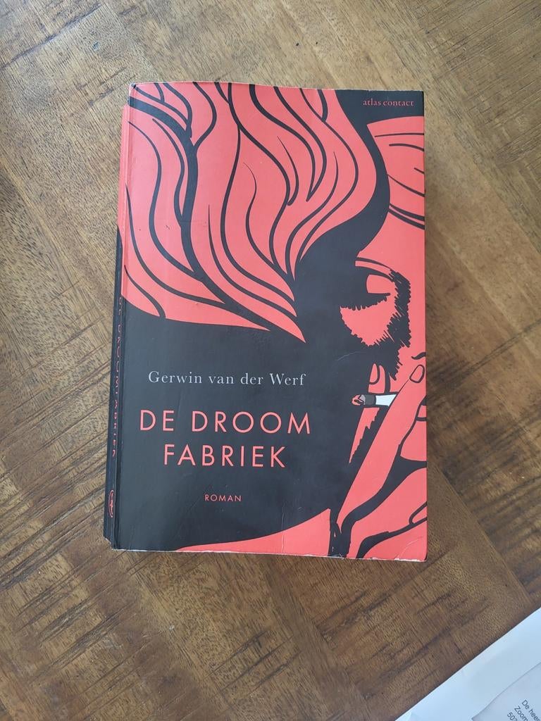 Gerwin van der Werf - De droomfabriek, Ophalen of Verzenden, Zo goed als nieuw, Gerwin van der Werf