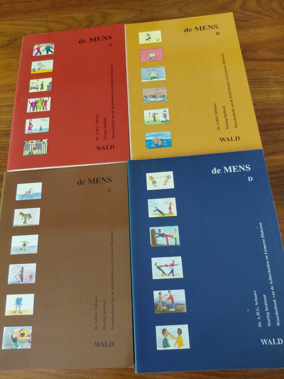 woordenboeken van de achterhoekse en liemerse dialecten, Ophalen of Verzenden, Gelezen