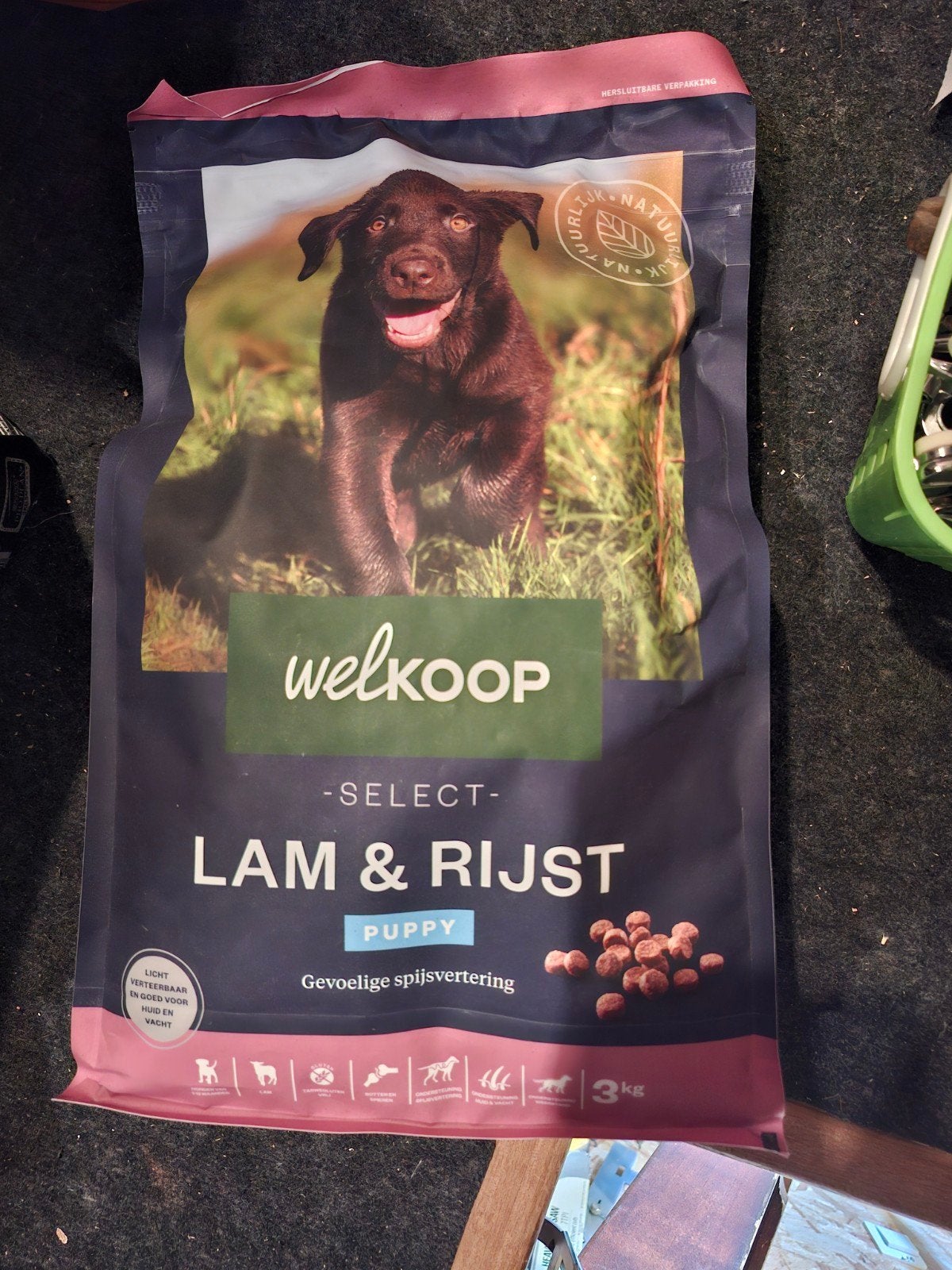 puppy brokken(3kg), Dieren en Toebehoren, Ophalen, Hond