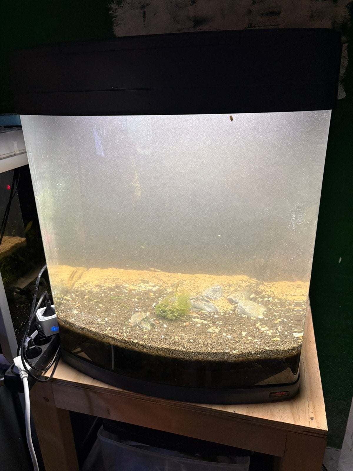 Sera 130 Cube Aquarium, Dieren en Toebehoren, Vissen | Aquaria en Toebehoren, Ophalen, Zo goed als nieuw, Leeg aquarium