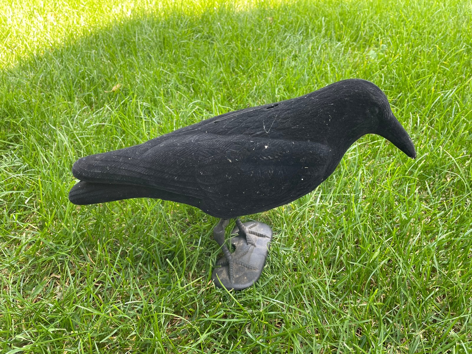 Nepkraaien, lokkraaien, vogelverschrikker, Dieren en Toebehoren, Geslacht onbekend