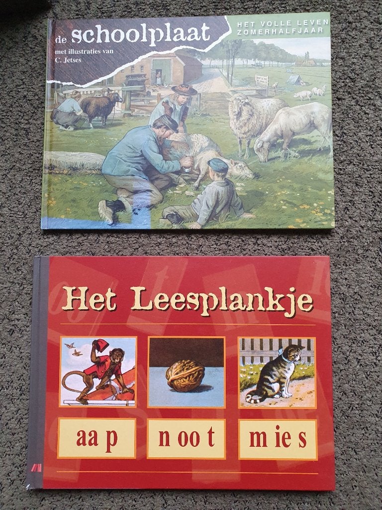 de Schoolplaat - het Leesplankje, Boeken, Ophalen of Verzenden, Zo goed als nieuw, Fictie algemeen