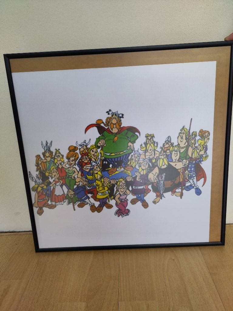 Asterix en Obelix (alle figuren) poster (40x40cm) met lijst, Ophalen, Gebruikt, Met lijst, Vierkant