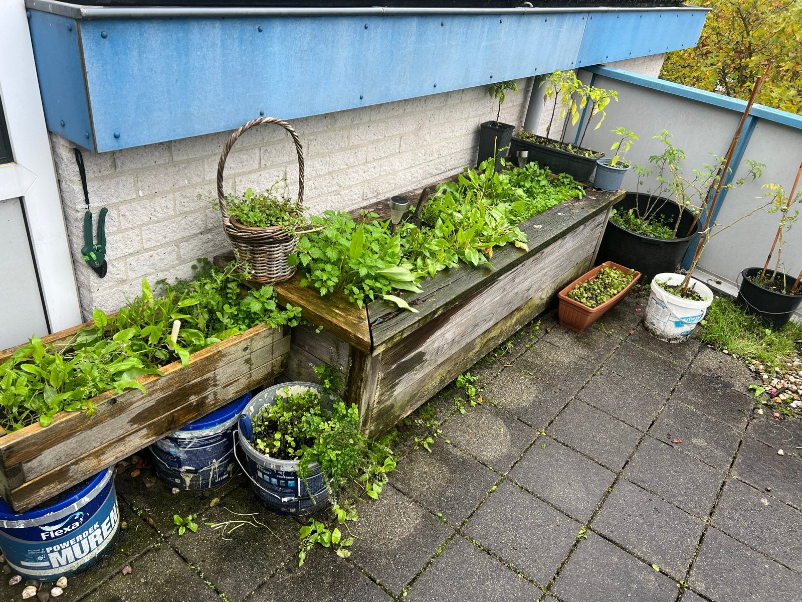 Houten plantenbakken voor tuin of balkon, Ophalen, Gebruikt, 100 cm of meer, Balkon
