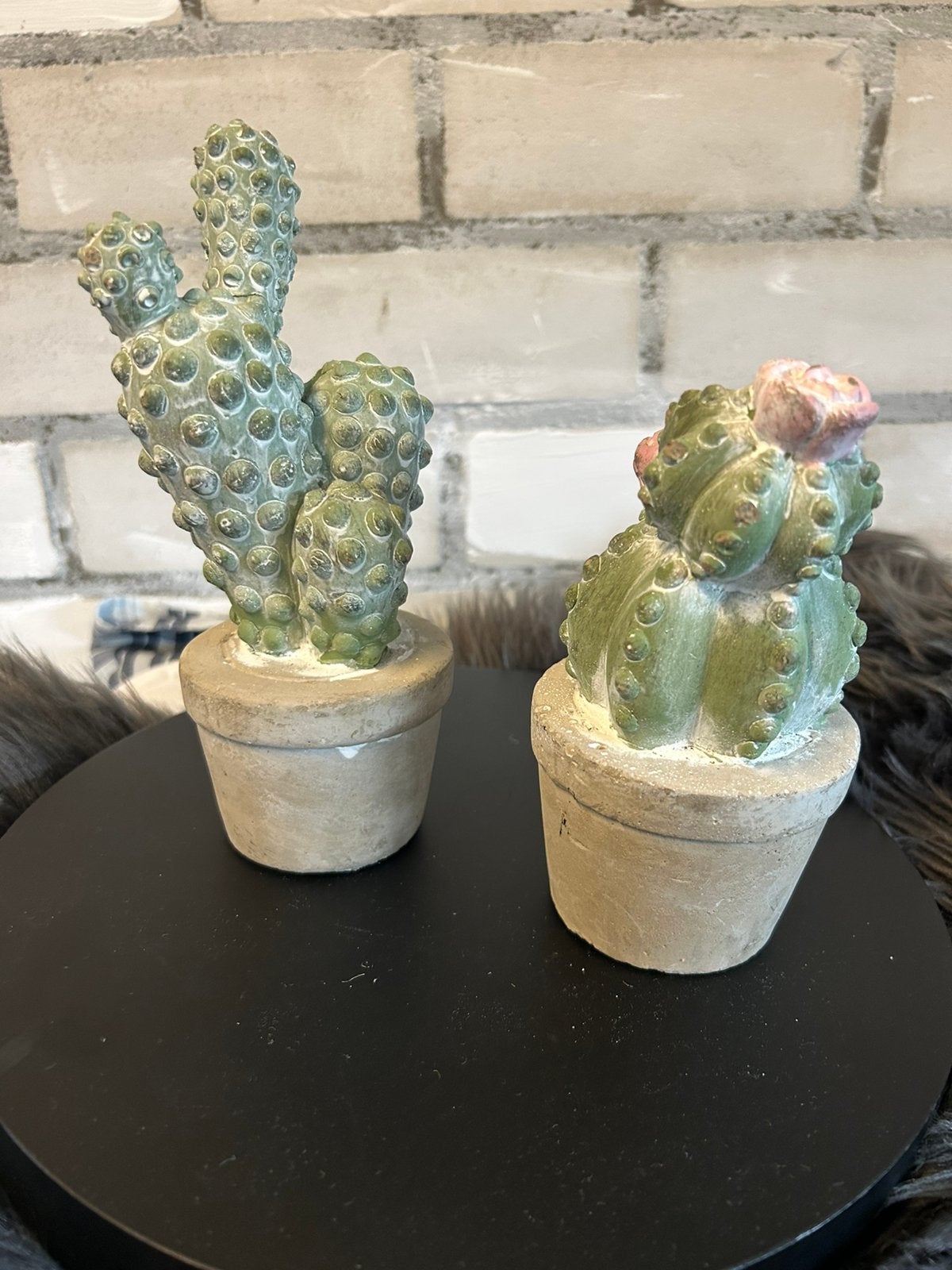 Betonnen cactussen heel apart, Ophalen of Verzenden