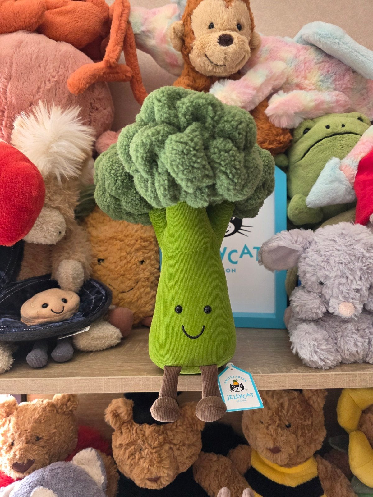 jellycat grote broccoli, Ophalen of Verzenden, Nieuw, Overige typen