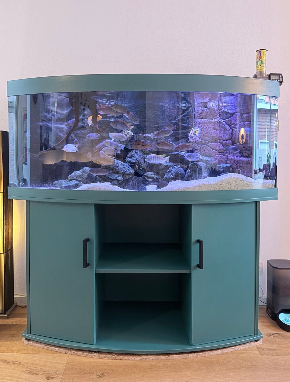 Juwel Vision 450 met Malawi ciclhiden, Dieren en Toebehoren, Ophalen, Gebruikt, Gevuld zoetwateraquarium, Inclusief vissen