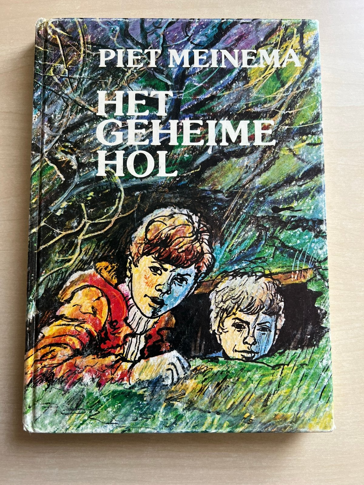 Het geheime hol door Piet Meinema, Ophalen of Verzenden, Gelezen