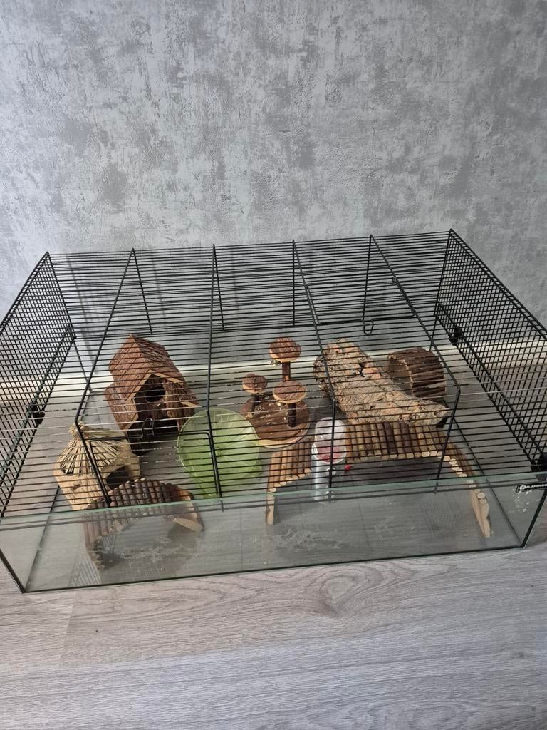 Nette hamsterkooi met toebehoren zie foto, Kooi, Minder dan 75 cm, Zo goed als nieuw, Hamster