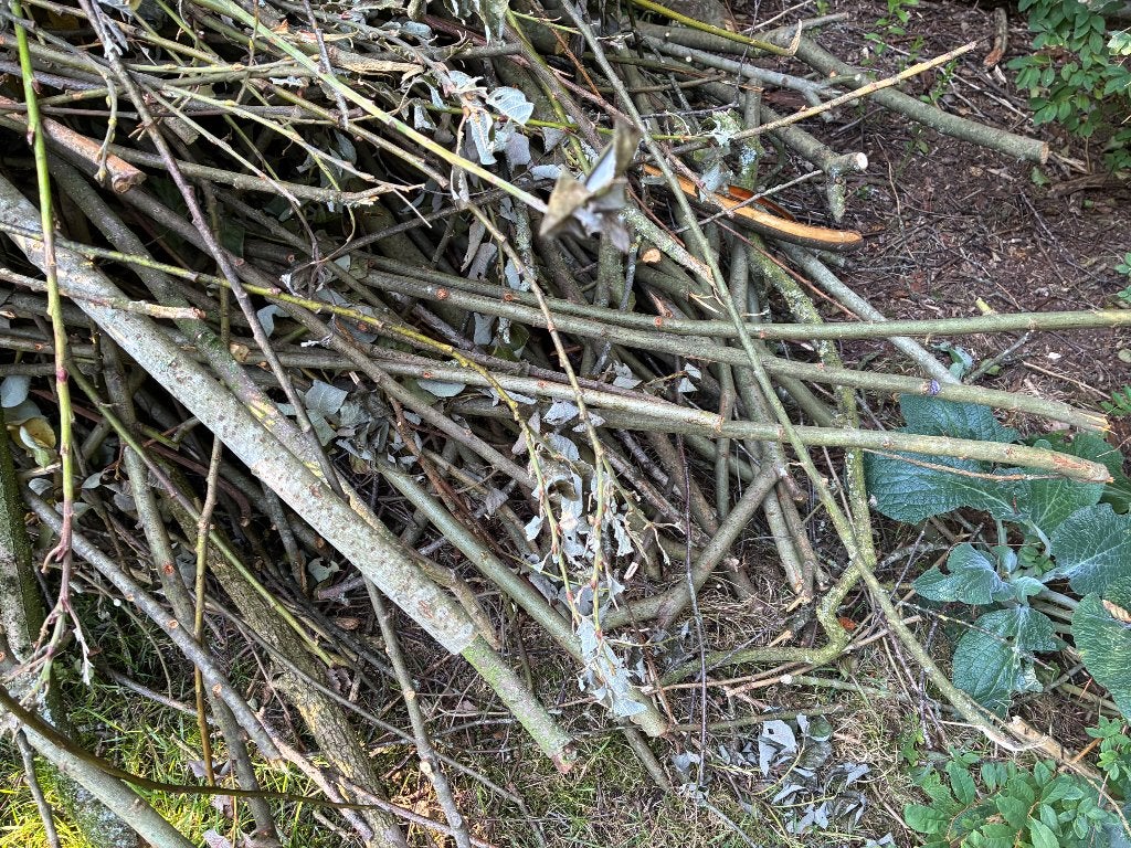 Gratis (wilgen) takken en wilgentenen, Tuin en Terras, Bloeit niet, Overige soorten, Minder dan 100 cm, Ophalen