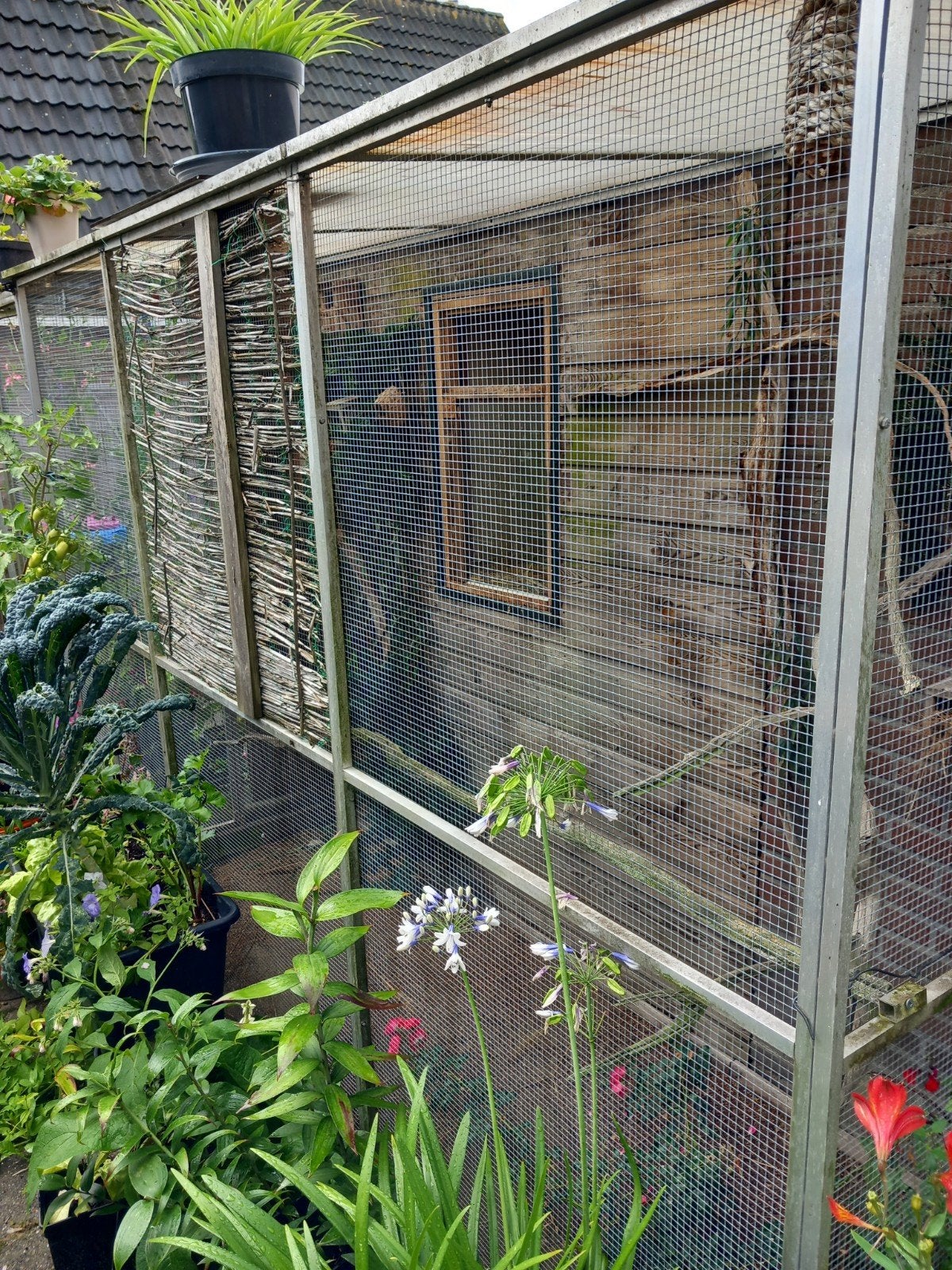 volière aluminium, Dieren en Toebehoren, Ophalen, Gebruikt, Aluminium, Volière