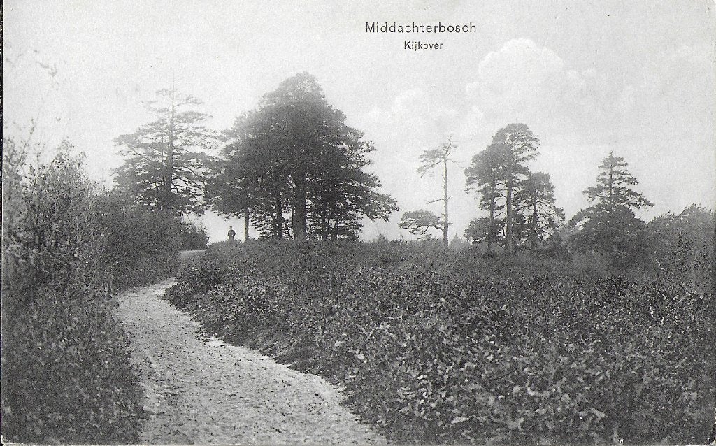 Pa1435 oude ansichtkaart de steeg middachterbosch kijkover, Ophalen of Verzenden, 1940 tot 1960, Ongelopen, Gelderland