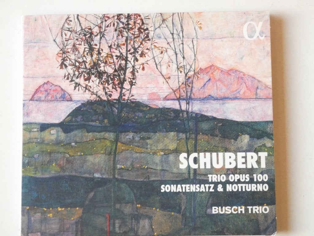 Schubert – Busch Trio – Trio Opus 100 Sonatensatz & Notturno, Verzenden, Romantiek, Gebruikt, Kamermuziek